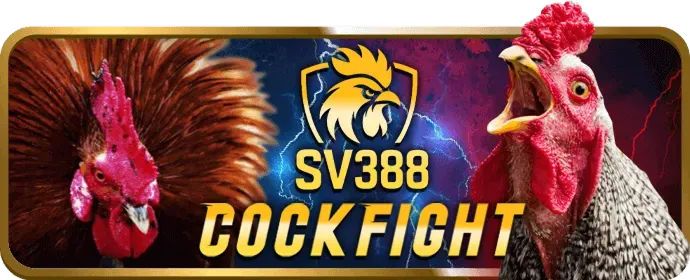 Đá gà cựa dao bk88 nhà cái
